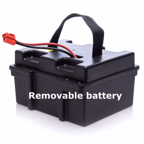 24Volt Red Buggy with 2.4G R/C
